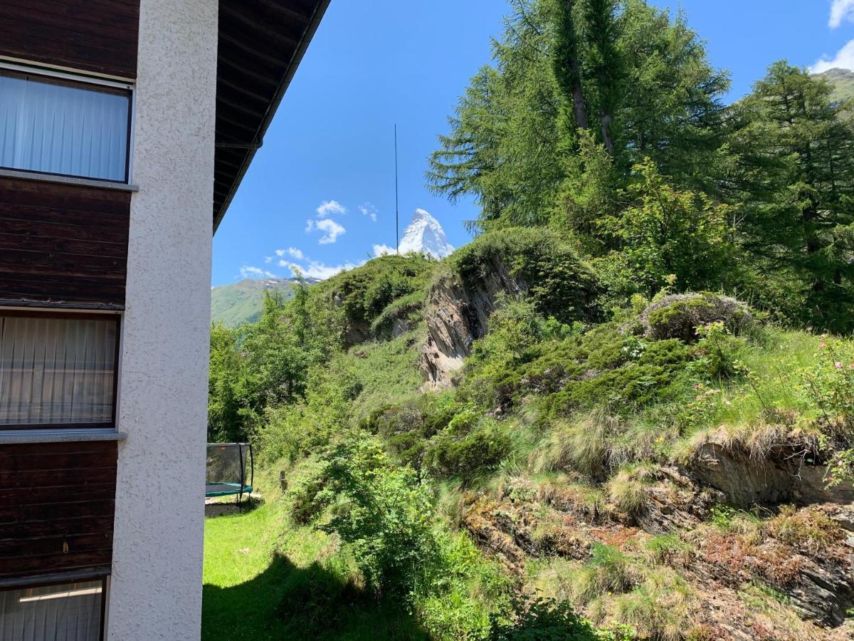 Appartements Zermatt Paradies Ngoại thất bức ảnh